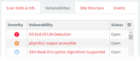 Network Security Assessment